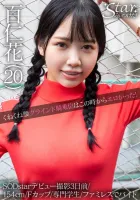 576STZY-005 百仁花(20)