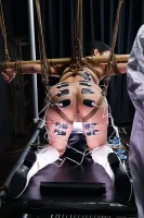 DBER-182 憤怒的水母酷刑-昇華春藥改造實驗室-01：成為可怕實驗犧牲品的女職業摔跤手前野奈奈