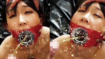 GMEM-070 Genuine Masochist Wife Perverted Installation Awakening Sex Doll Takako Sato