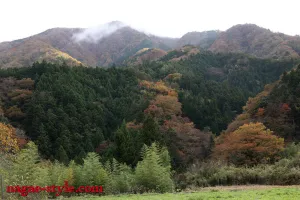 NSFS-071 发表真实故事我的妻子在 17 岁左右去世 - 旅馆老板的肮脏身体 - Iori Nanase